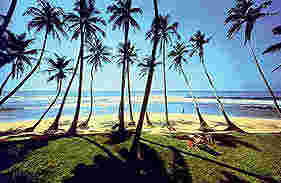 Sri Lanka Picture Archive 24